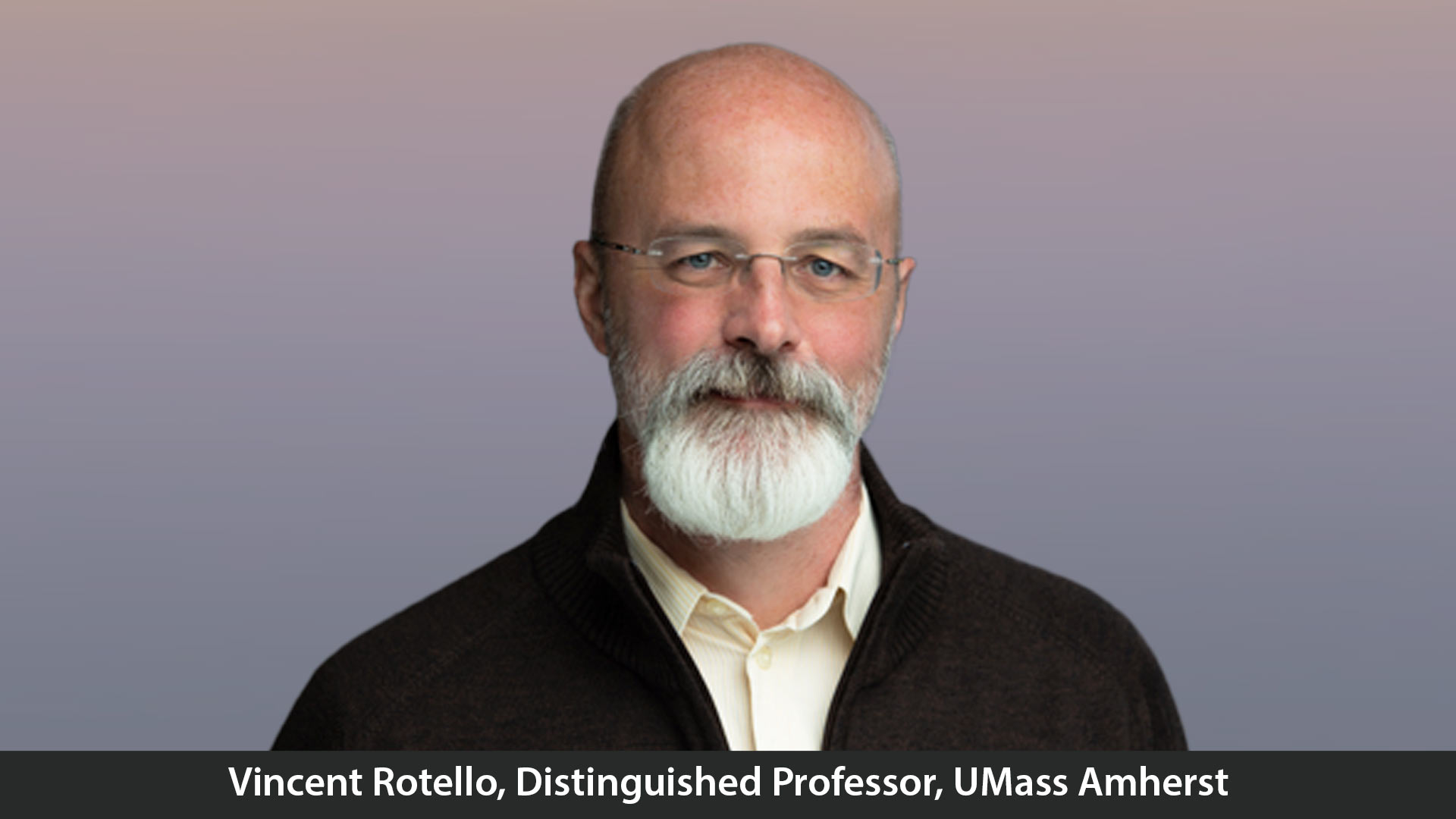 Vincent Rotello: Shaping the Future of Nanotechnology and Supramolecular Chemistry