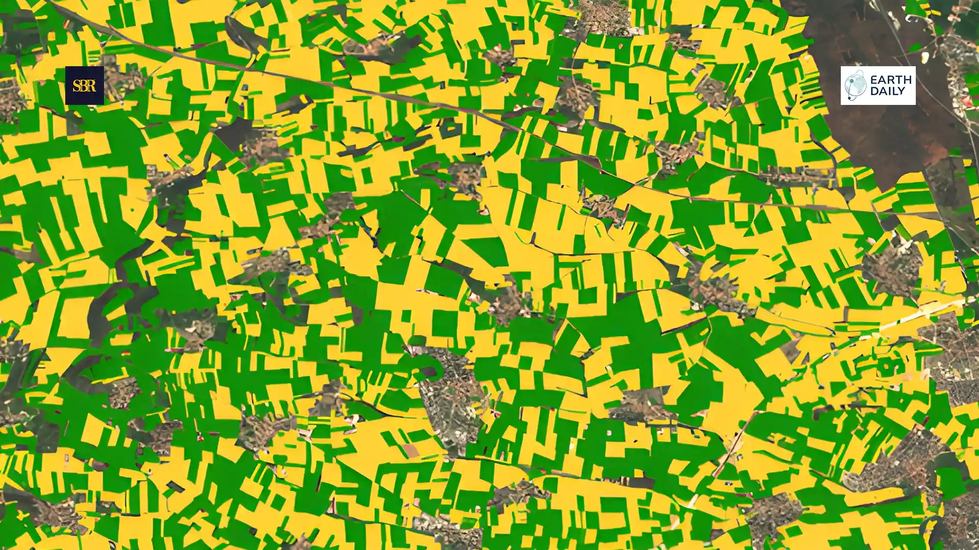 Seeing Before Selling: Why Foresight Is Now Retail’s Defining Advantage